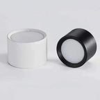 Yelduna Surface Mounted Downlight