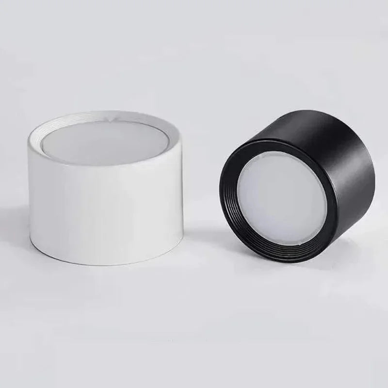Yelduna Surface Mounted Downlight