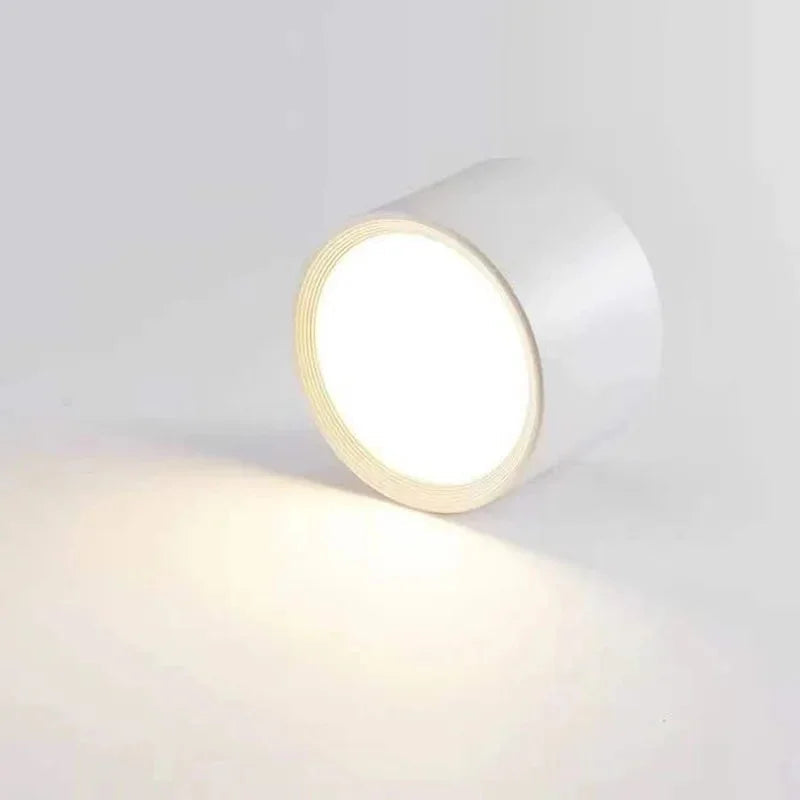 Yelduna Surface Mounted Downlight