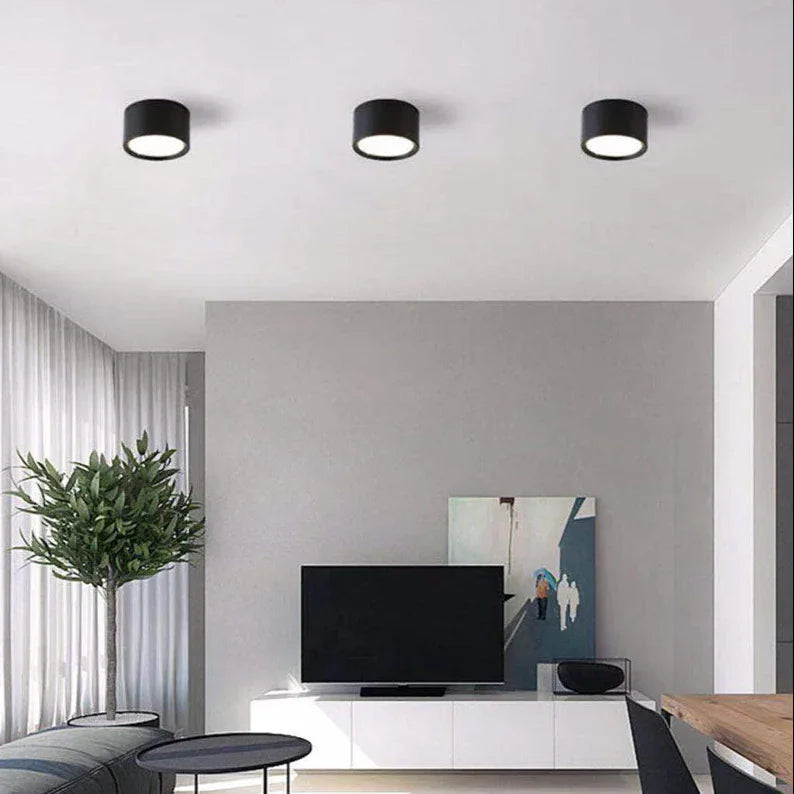 Yelduna Surface Mounted Downlight