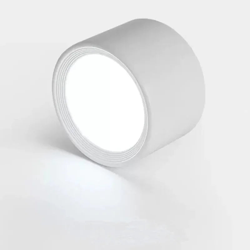 Yelduna Surface Mounted Downlight