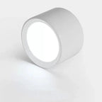 Yelduna Surface Mounted Downlight