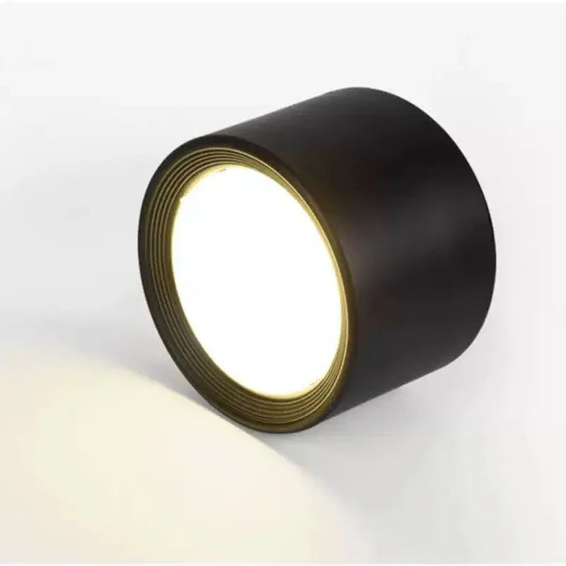 Yelduna Surface Mounted Downlight